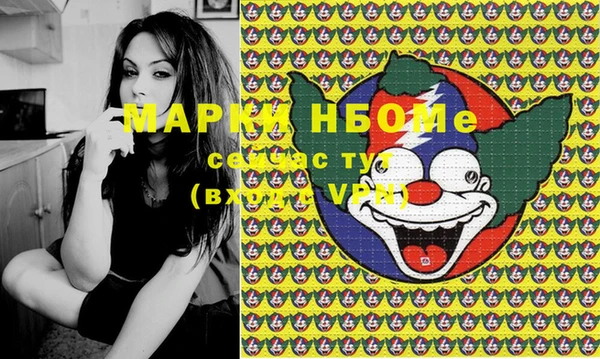стафф Кодинск