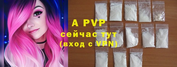 гидра Козловка