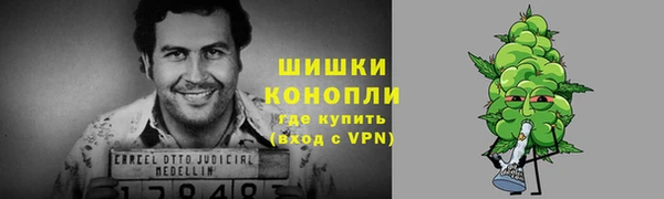 стафф Кодинск