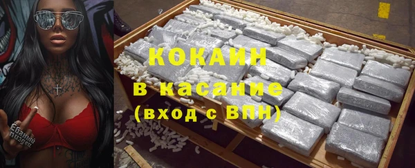 гидра Козловка