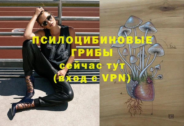 стафф Кодинск