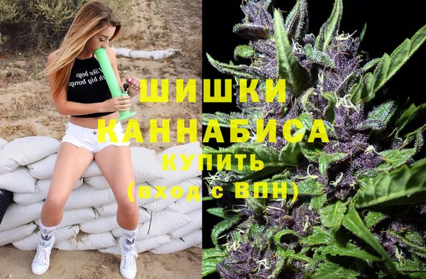 гидра Козловка