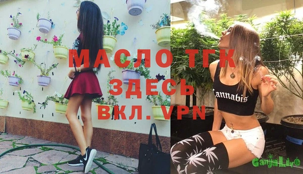 гидра Козловка